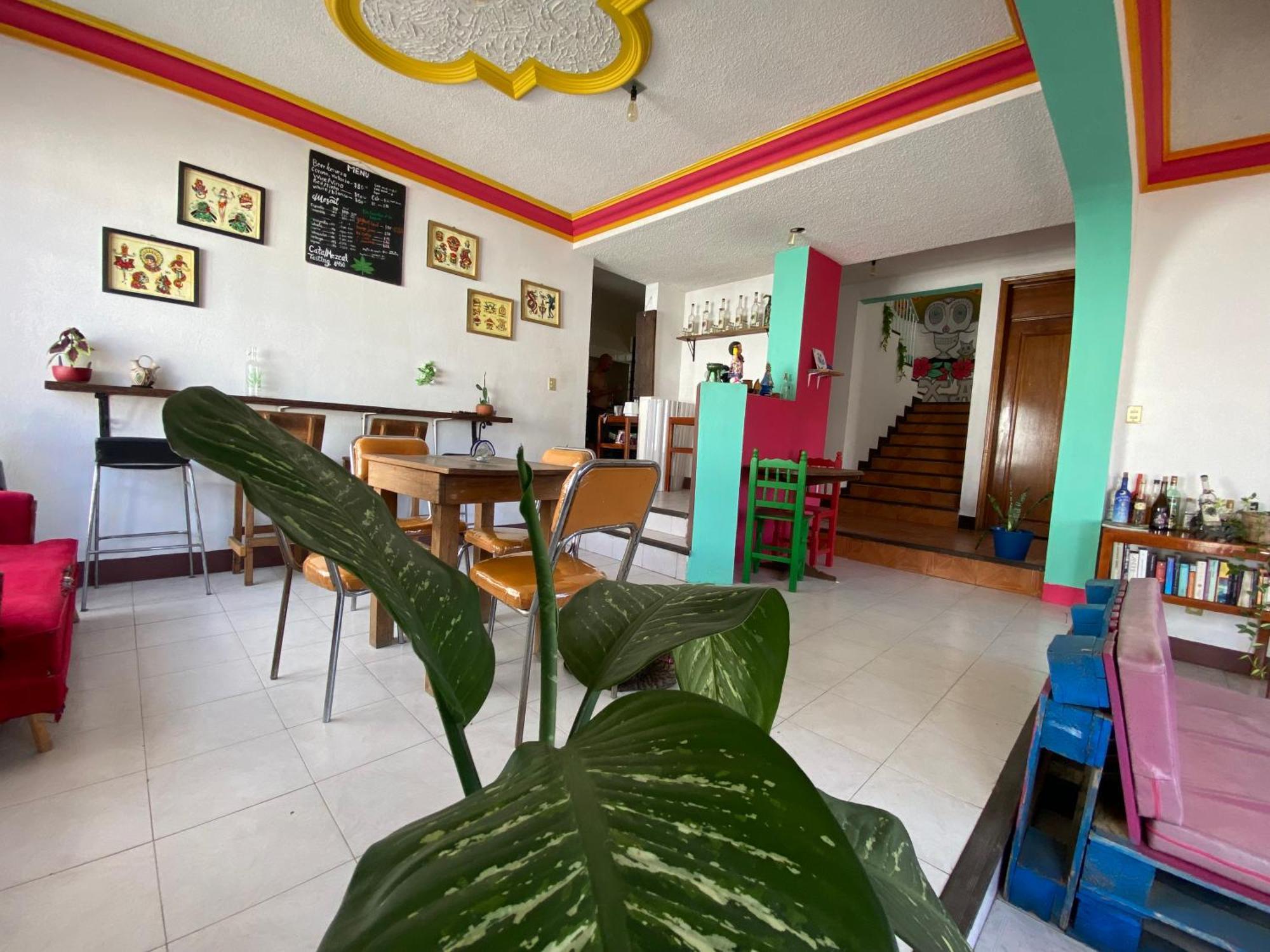 Casa El Mundo Hostel Oaxaca Ngoại thất bức ảnh