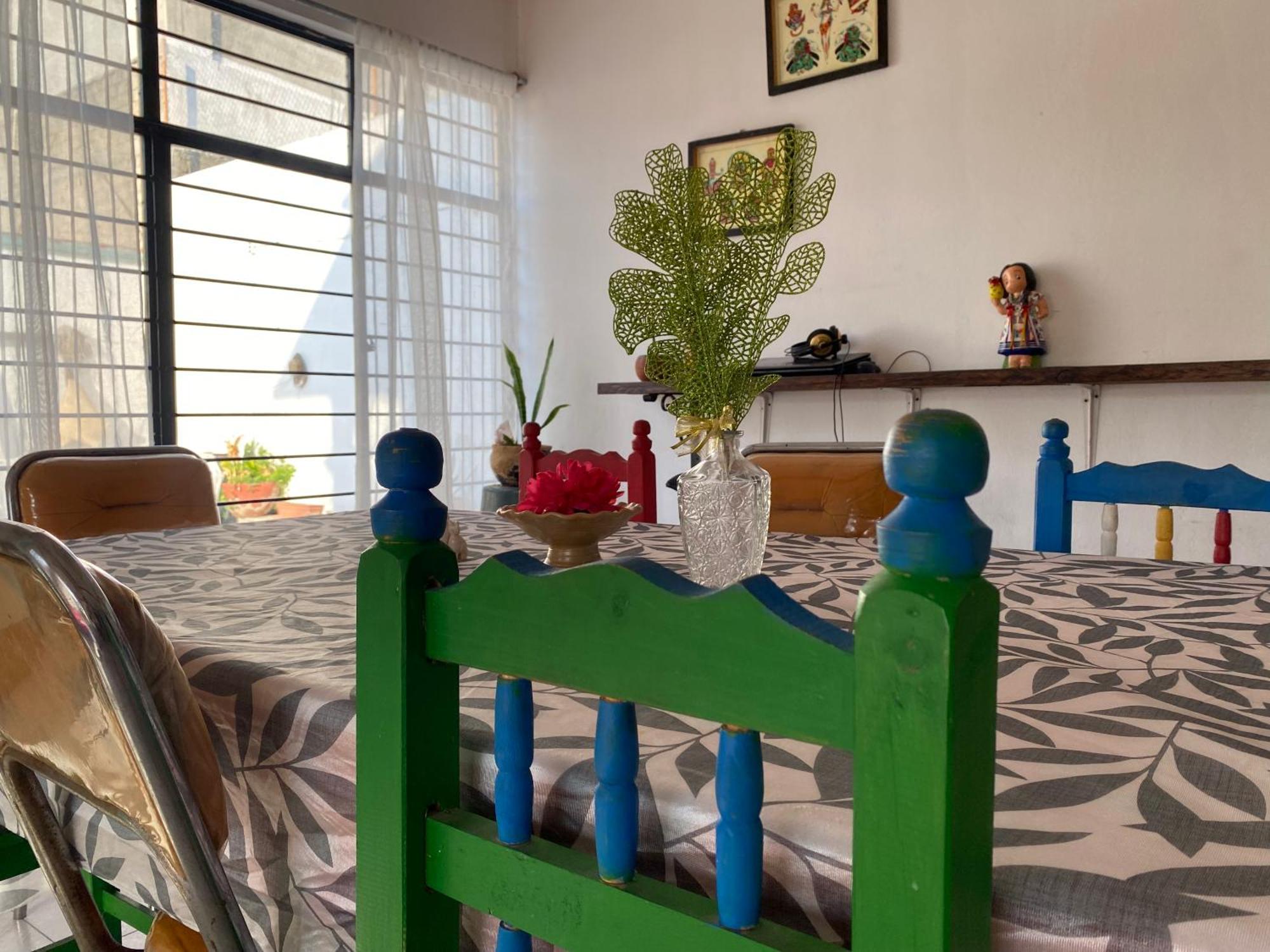 Casa El Mundo Hostel Oaxaca Ngoại thất bức ảnh